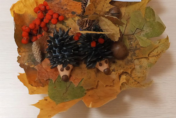 "Запасливые ёжики"