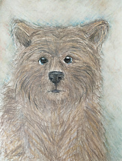 Хозяин леса