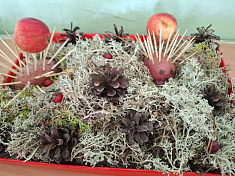 "Храбрые ёжики"