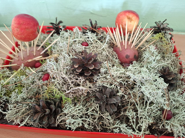 "Храбрые ёжики"