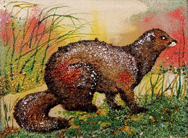 "Европейская норка"