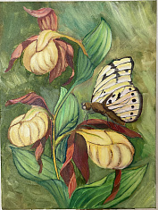 Удивительный мир Прикамья: Редкие и прекрасные