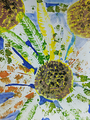 Подсолнухи