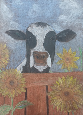 "Любопытная Буренка"