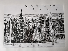 Мой край родной