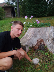 "Подберёзовик у школьного пенька"