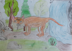 Рысь - лесная кошка Пермского края