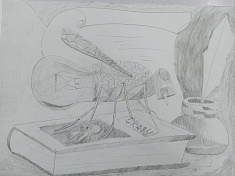 Познание мира