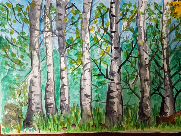 Березовая роща 