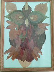 "Совушка сова - умная голова"