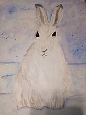 Зайчик на снежной поляне