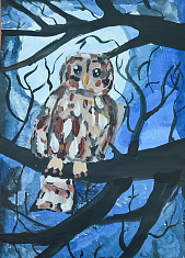 В ночном лесу