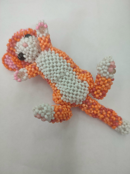 Игривый кот