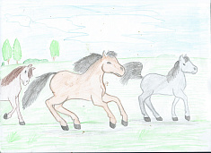 На пастбище.