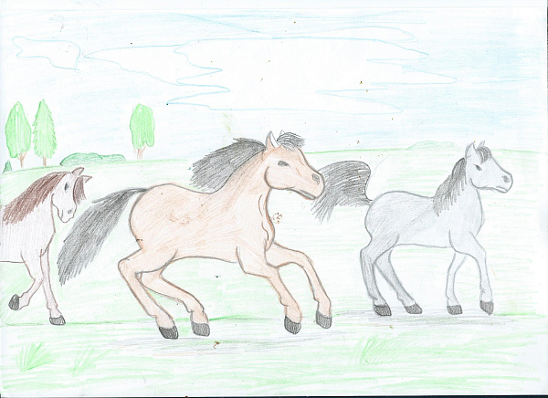 На пастбище.