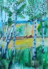 Белые берёзки