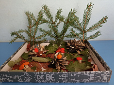 "Лесная полянка"