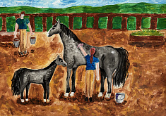 Галатея и Грейси 