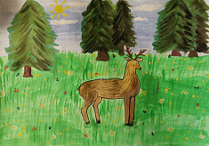 "В лесном краю"