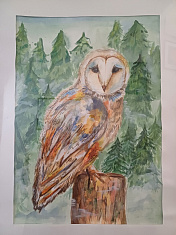 "Лесная мудрость"