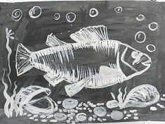 Зеркальный карп