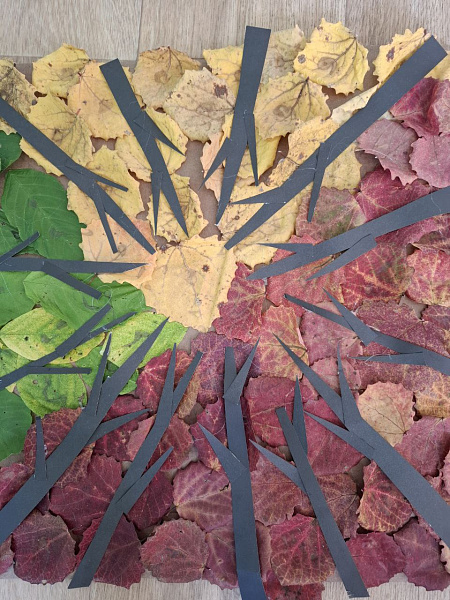 "Золотые наряды леса"