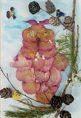 "Мудрая сова"