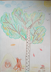 Символы России и Пермской земли - белая берёзка да бурый медведь