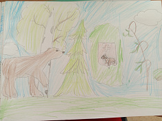 Природа Прикамья