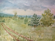 Полевая дорога