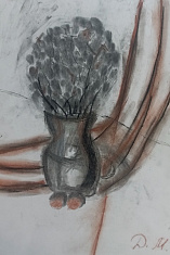 "Сухоцветы"