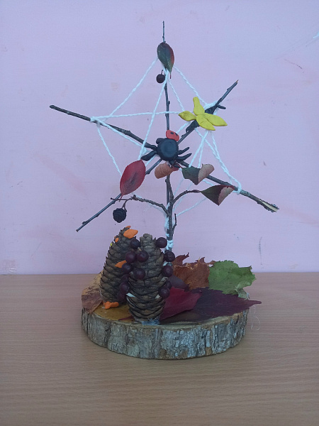 Паучок готовится к зиме