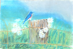 "Утренняя песня"