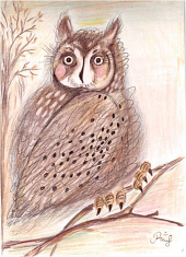 "Совушка -сова"