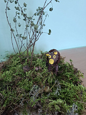 "Мишка в лесу"