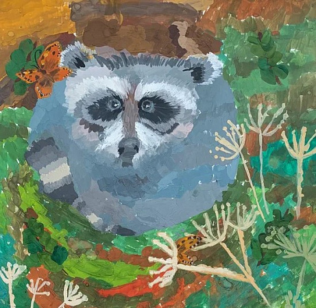 Пушистый енот