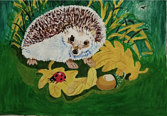 Любопытный ёж