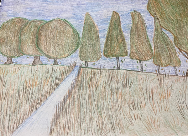 Красота лысьвенского леса