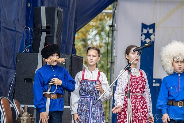 Хороводная песня "Пойду - выйду , младенька"