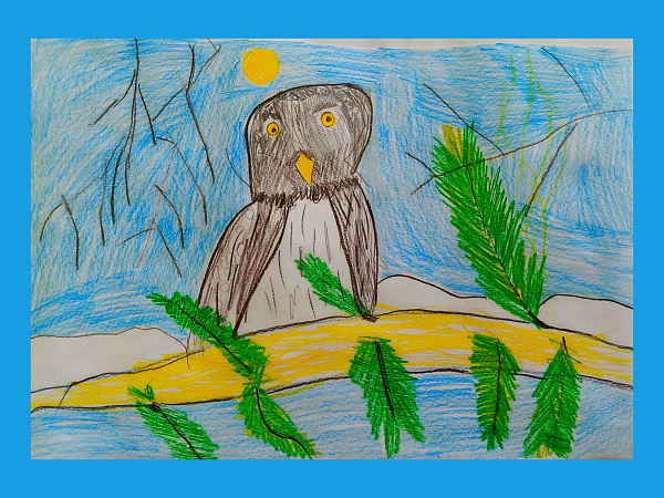 Ястребиная сова в Вишерском заповеднике