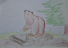 "Исторические памятники Пермского края"