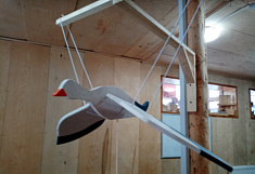 "Гусь в полете"