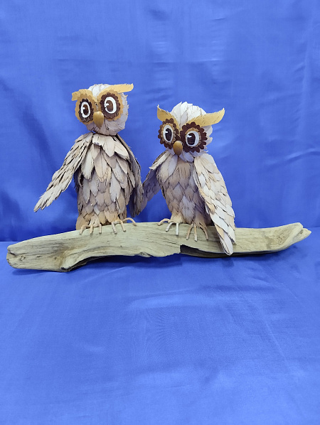 "Хранители лесных тайн"