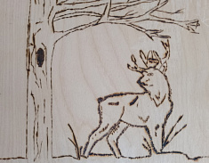 Хозяин леса