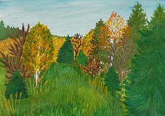 Осень в лесу