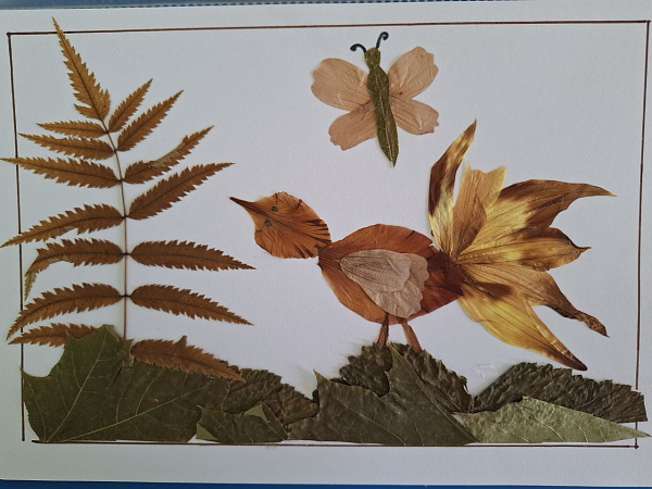 "Золотое чудо"