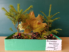 "Осенний лес"