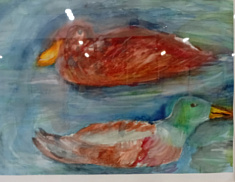 Утки на пруду