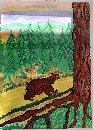 Мой сказочный лес Прикамья