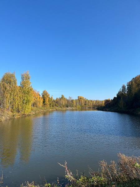Отражения